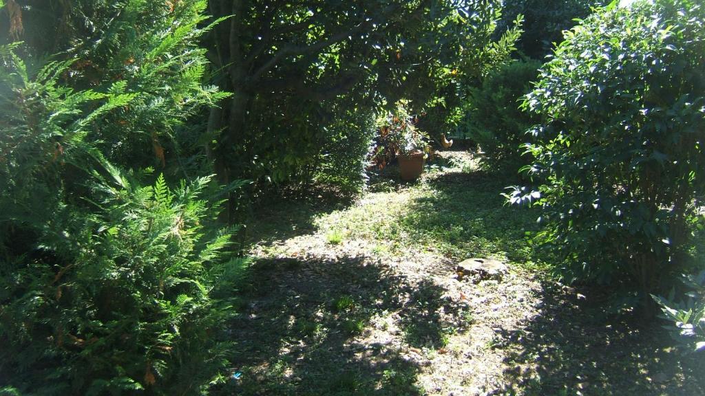 Locanda Canareggio San Biagio di Callalta Eksteriør bilde